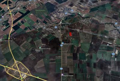 Teren intravilan 50.790 mp, Dascălu – Ilfov | Preț avantajos, 8 €/mp - 2