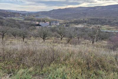 Teren de 14500 mp, în Baciu - 2
