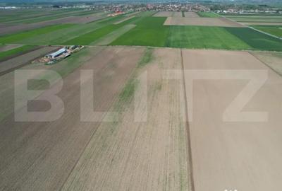 Teren de 17700 mp, în Central