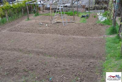 Casa de Zona Mureseni - 5