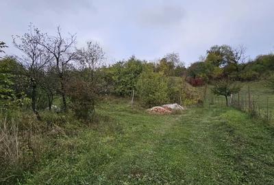 0 % comision, Lot format din 3 parcele de teren, zona Antonio Gaudi - 4