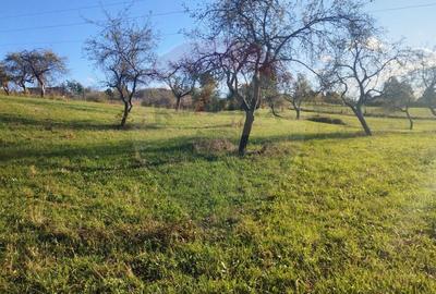 Teren Construcții intravilan de 1808 mp, în Șișești - 2