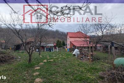 Casă cu 2 camere cu Teren 4368 Mp în Certeju de Sus - 7