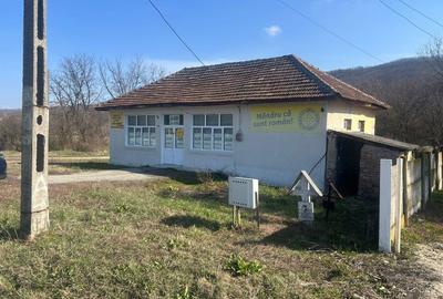 Spațiu comercial, de 80 mp, în Negreni - 4