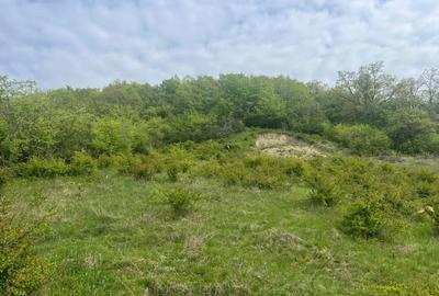 Teren Construcții intravilan de 1000 mp, în Corunca - 1