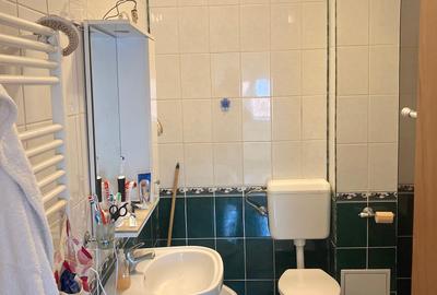 Iancu Nicolae Jolie Ville, apartament in vila Iancu Nicolae Jolie Ville, apartament in vila - 7