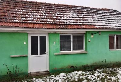 Casă cu 2 camere în Chistag - 6