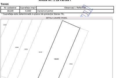 Teren de 12494 mp, în Fălticeni - 6