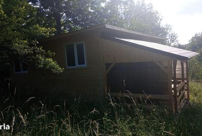 Casă cu Teren 2120 Mp în Moțăieni - 3