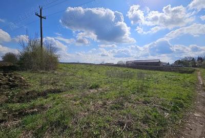 Teren de 2509 mp, în Snagov - 1