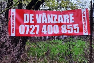 Vanzare teren de COLT 682mp Balta Lilieci Sat Lilieci Sinesti Ialomita - 8