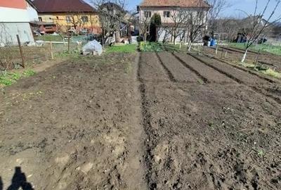 Duplex 4 camere in Andrei Muresanu, teren 480 mp, utili 120 mp Duplex 4 camere in Andrei Muresanu, teren 480 mp, utili 120 mp - 2