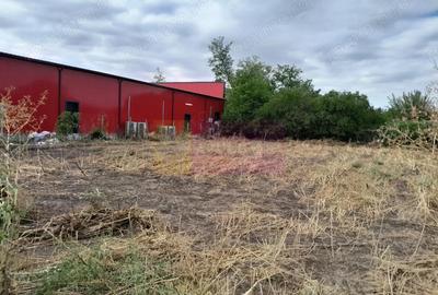 Spațiu comercial, în Movilița - 15