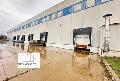 Hala Moderna 6200mp | Panouri Solare - Freidorf - Acces la Centura - 4