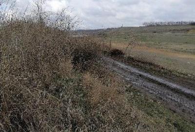 Teren extravilan Tiganasi, cota parte 1/5, ID: R2822453 - 6