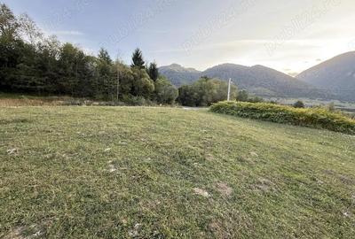 Teren intravilan 500 sau 1000 mp Bran-Tohanita la dum asfaltat - 2