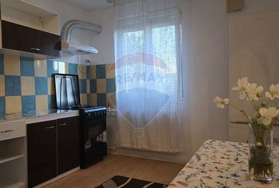 Apartament cu 2 camere cochet in zona Parc Drumul Taberei - 3