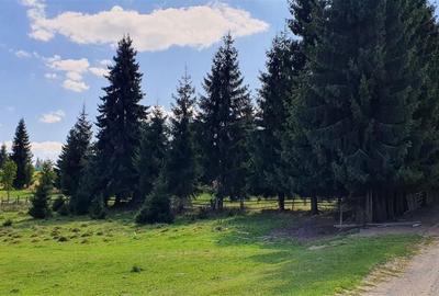 Teren de 1350 mp, în Beliș - 3