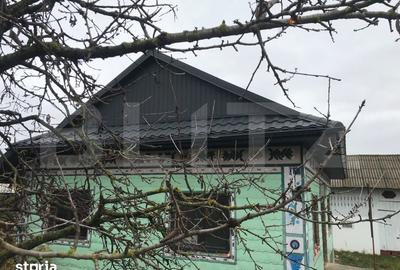 Casă cu 3 camere cu Teren 3400 Mp în Vulturești - 4