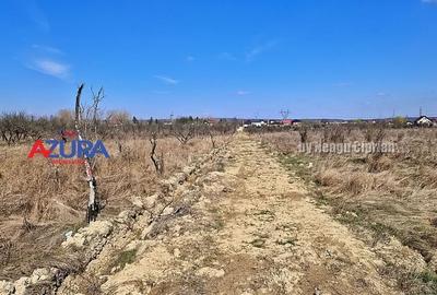 AZURA IMobiliare - Teren Iefin Bascov 3km de Giratoriu - 2