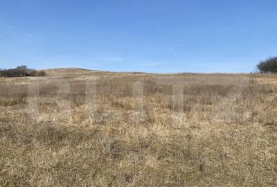 Teren extravilan in suprafata de 140551 mp in loc. Recea - 12