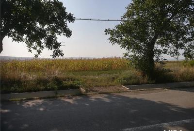 Teren de 5000 mp, în Cristești - 7