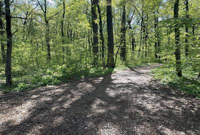 TEREN 7000 MP| DESCHIDERE 40 ML | INTRAVILAN-PADURE | POT 5% | TEREN UNIC | - 3