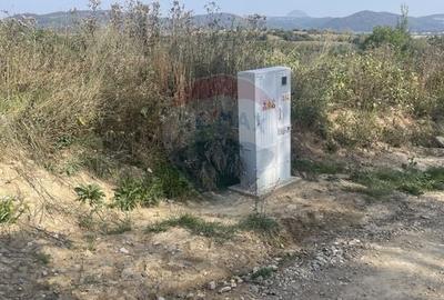 Teren Construcții intravilan de 850 mp, în Tohănița - 6