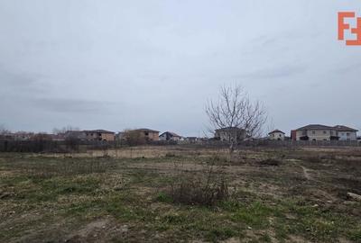 Spațiu comercial, în Moșnița Nouă