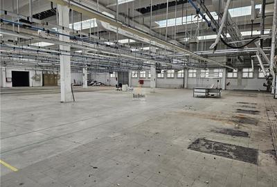 Spațiu industrial, 8000 mp în Sud