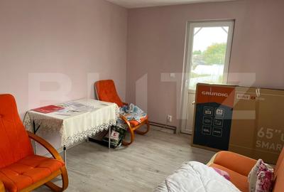 Casa P+1, deschidere bilaterala, 564 mp, Isalnita - 4
