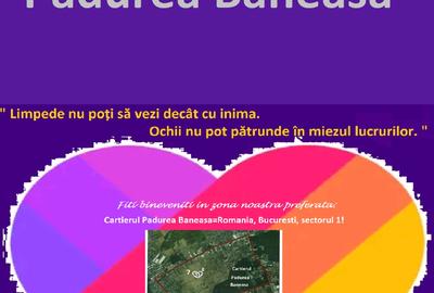 Teren Construcții intravilan de 551 mp, în Băneasa
