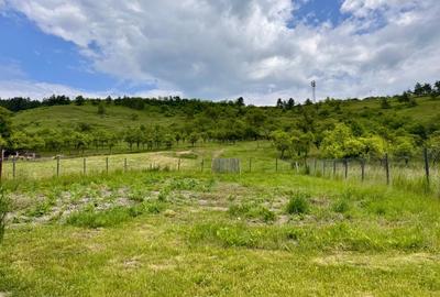 De Vanzare casa individuala in localitatea Suceagu - Cluj - 2