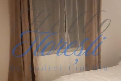 Cabana cu 3 dormitoare , Rasca - 8
