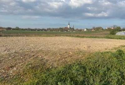 Spațiu comercial, în Biharia - 3