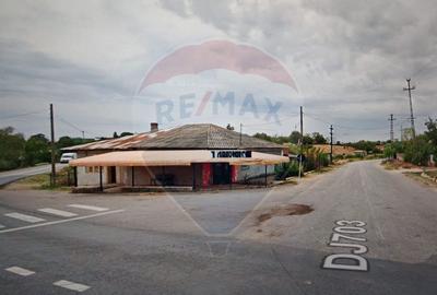 Casă cu 3 camere cu Teren 2860 Mp în Balaci - 2
