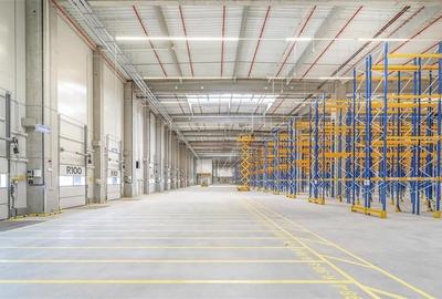 Inchiriere depozit/hala/spatiu industrial Popesti Leordeni-DN4-A0 - 3