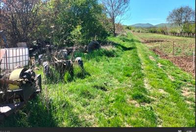 Spațiu comercial, în Crișeni