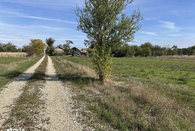 Spațiu comercial, în Nejlovelu - 3