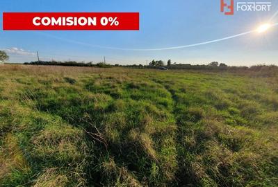 Comision 0% Teren intravilan de 3346 mp cu 2 fronturi - Jebel - 7