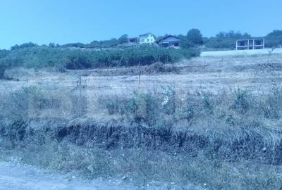 Teren de 1000 mp, în Central