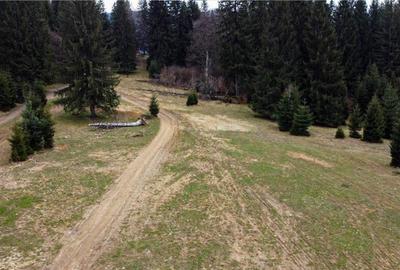 FILM! 1.000 mp,PUZ,regim P 2 M,destinatii turistice rezident - 6