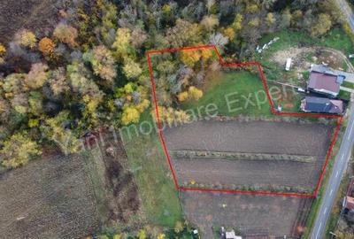 Teren de vanzare in comuna Meri?ani, sat Valcelele, jude? Arge?. - 4