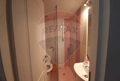 Casa / Vila cu 7 camere de vanzare in zona Tohanita - 21