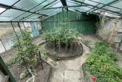 Casa | 9 camere | Garaj | Piscina | Teren 3.000 mp | Comision 0% Casa | 9 camere | Garaj | Piscina | Teren 3.000 mp | Comision 0% - 42