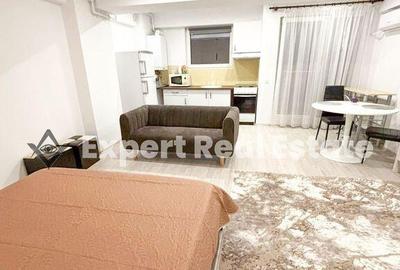 STUDIO MODERN OTOPENI-AEROPORT - 3