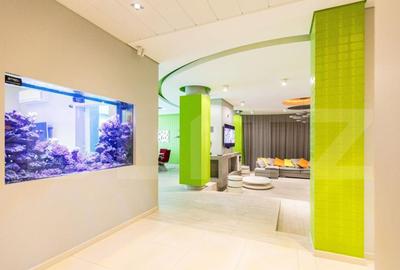 Vila, 8 camere, 790 mp utili, zona Lunei - 11