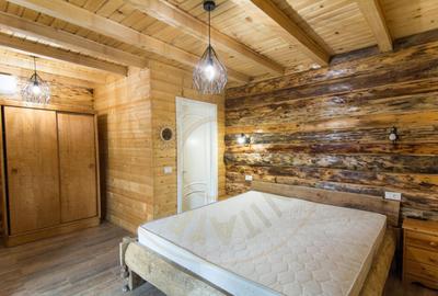 Casa de vacanta sau afacere la cheie in Loc. Nucsoara, jud. - 16