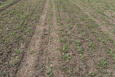 Spațiu comercial, în Vasilați - 4