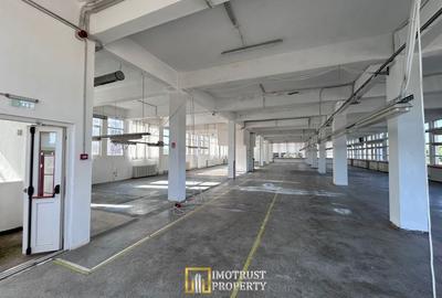 Hală Industrială de inchiriat – Lipova, Județul Arad - 16